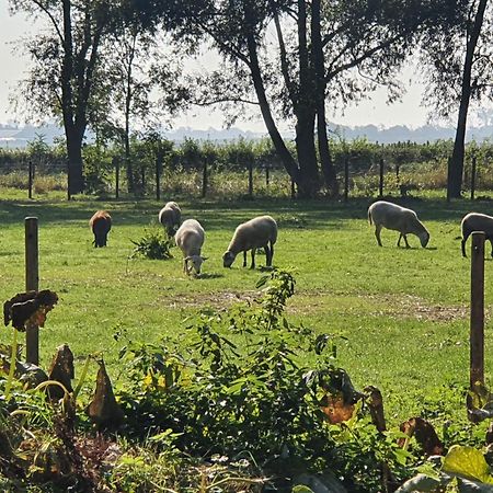 De Zeeuwsche Hoeve Kerkwerve Kültér fotó