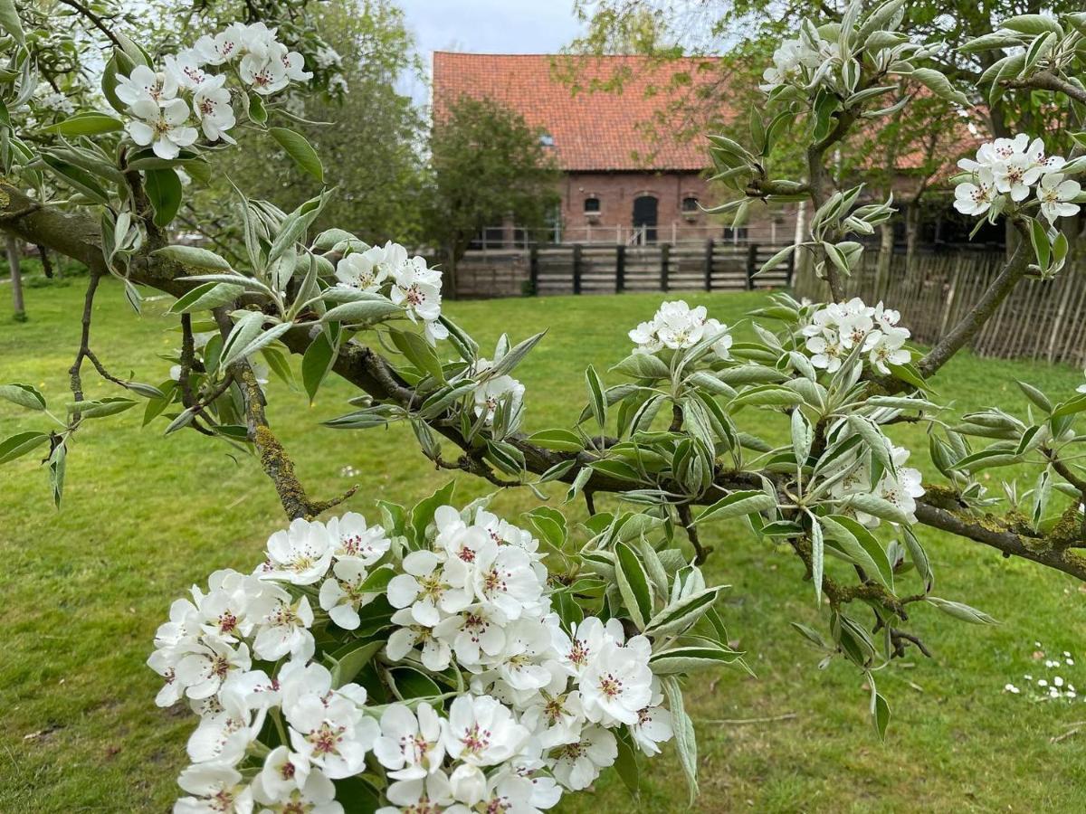 De Zeeuwsche Hoeve Kerkwerve Kültér fotó