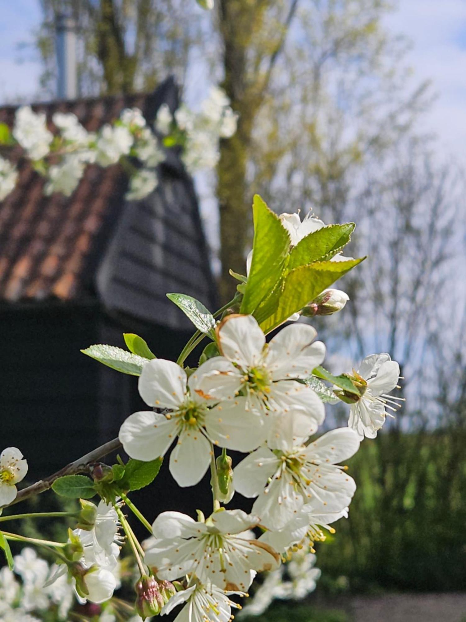 De Zeeuwsche Hoeve Kerkwerve Kültér fotó