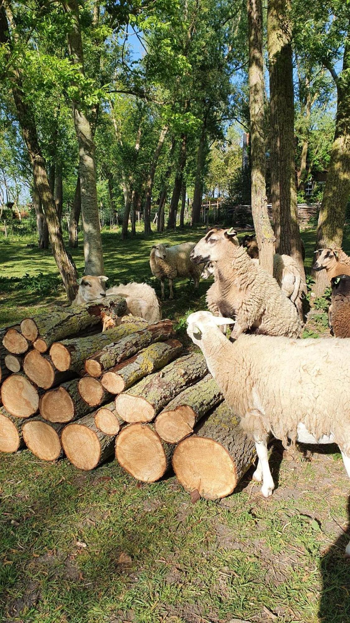 De Zeeuwsche Hoeve Kerkwerve Kültér fotó