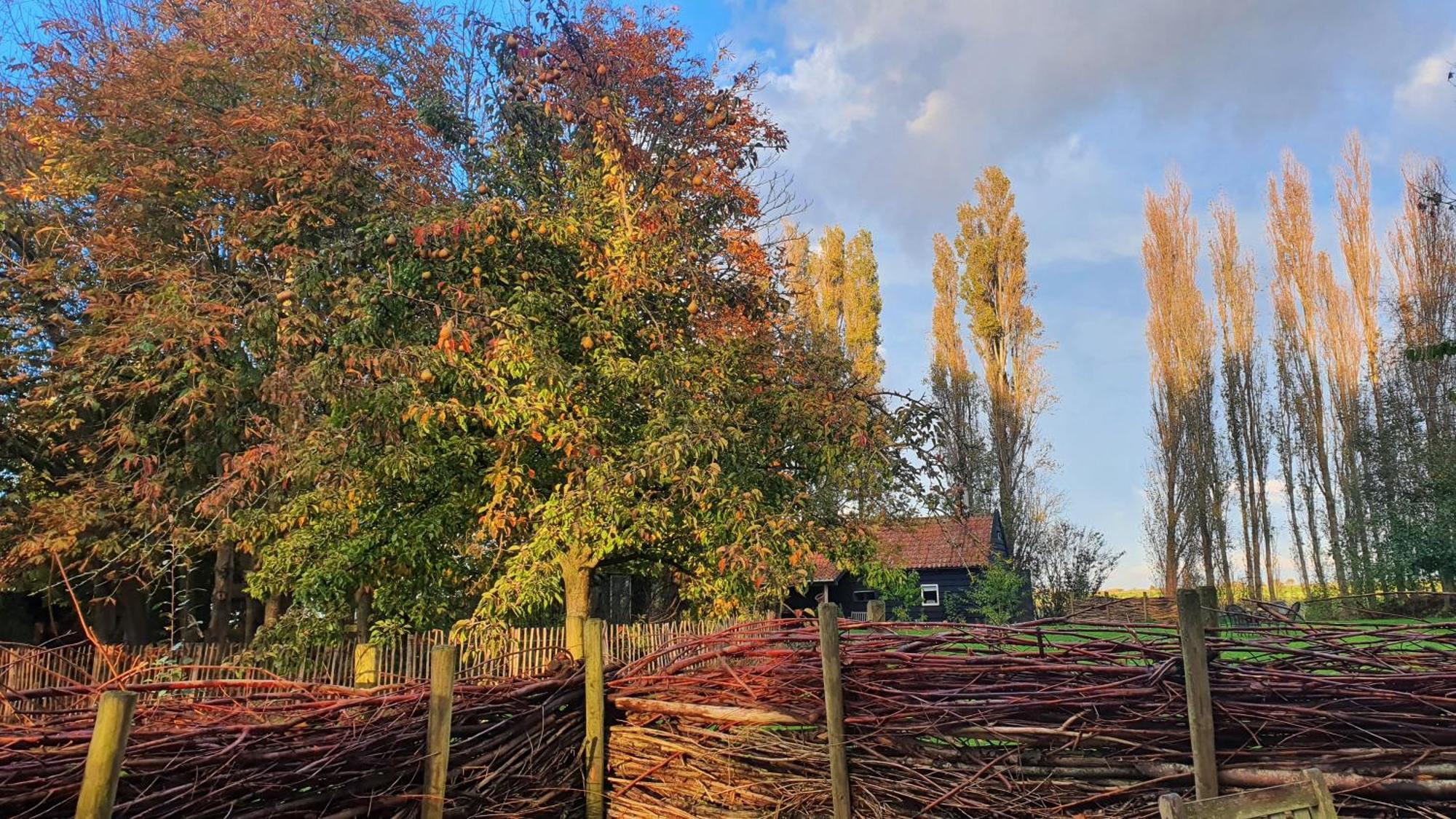 De Zeeuwsche Hoeve Kerkwerve Kültér fotó