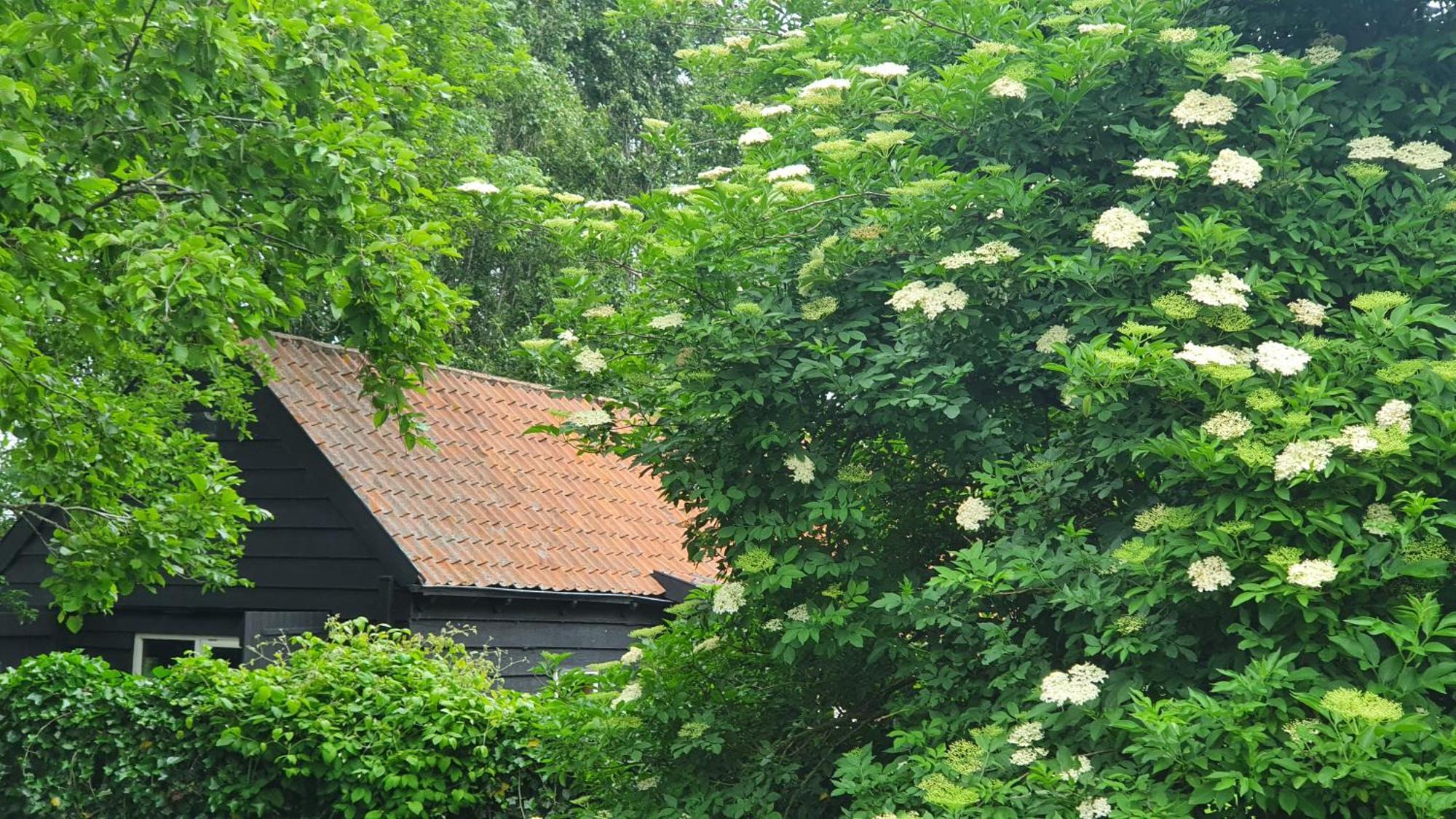 De Zeeuwsche Hoeve Kerkwerve Kültér fotó