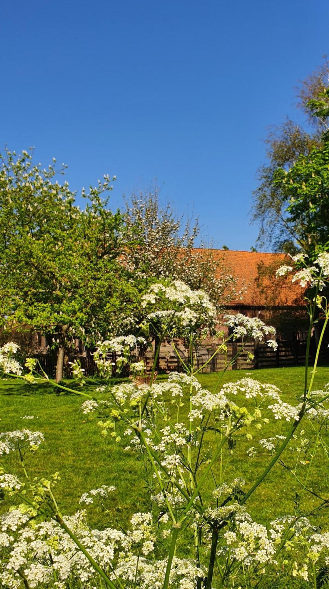 De Zeeuwsche Hoeve Kerkwerve Kültér fotó
