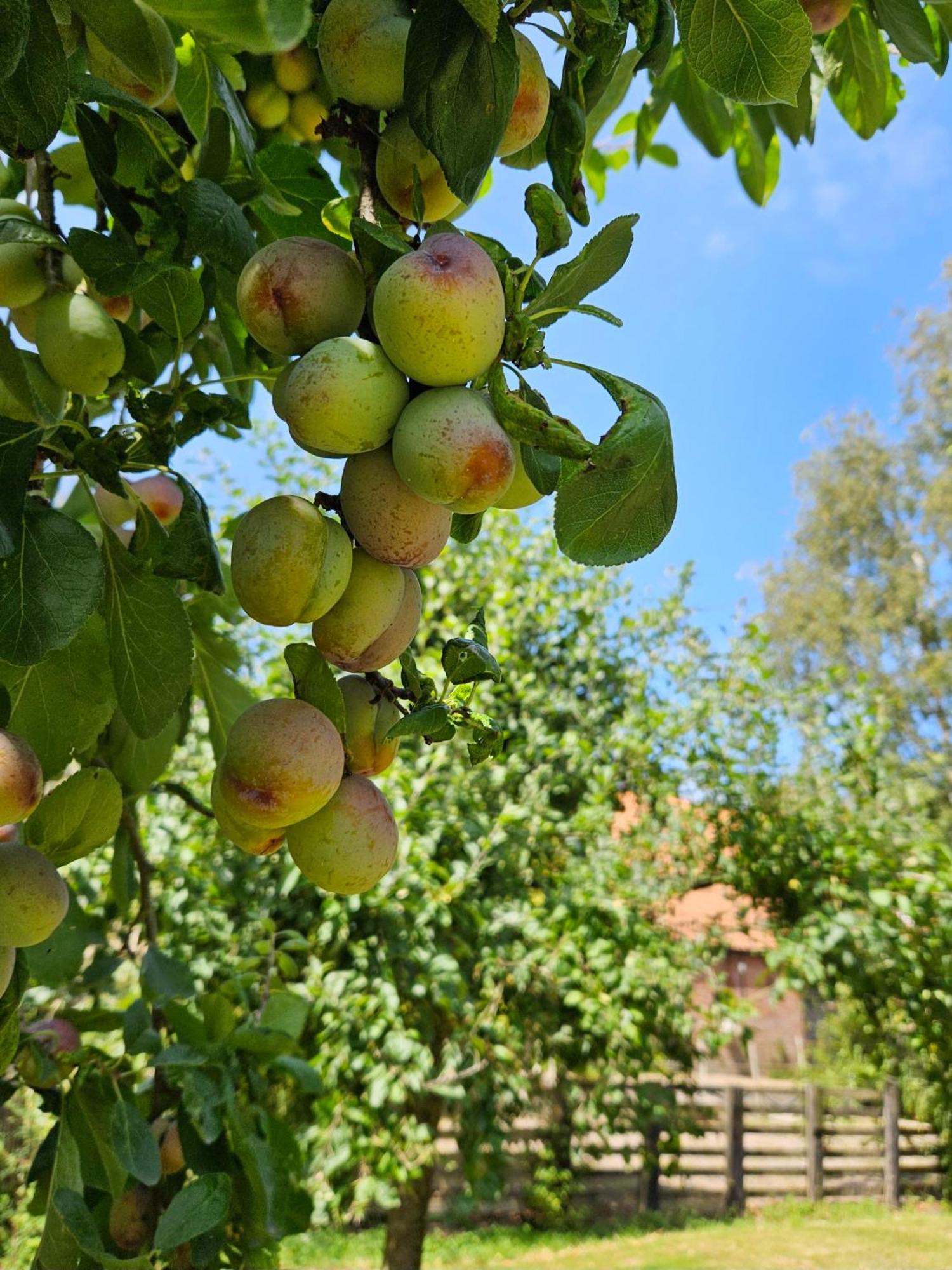 De Zeeuwsche Hoeve Kerkwerve Kültér fotó