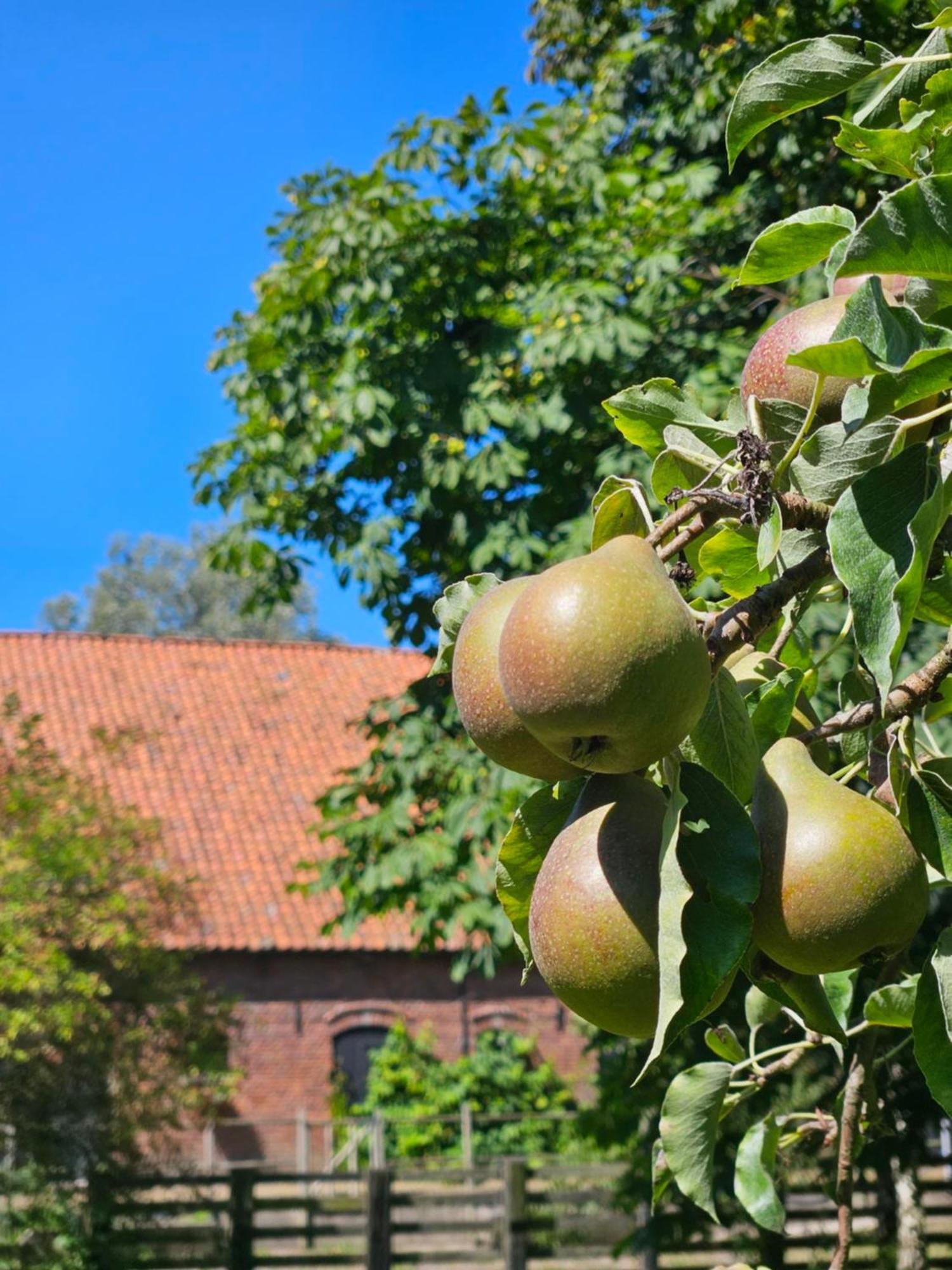 De Zeeuwsche Hoeve Kerkwerve Kültér fotó