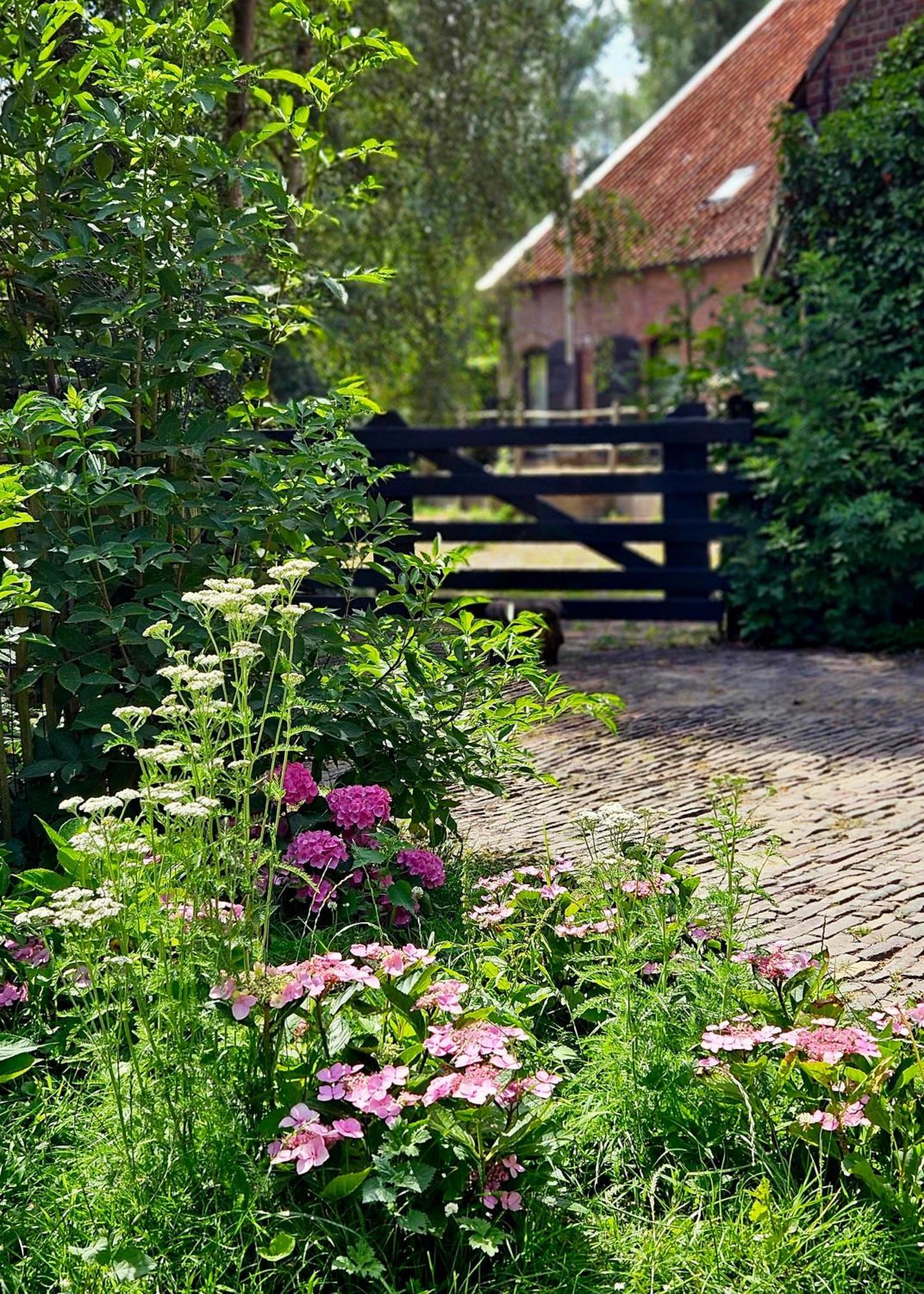 De Zeeuwsche Hoeve Kerkwerve Kültér fotó
