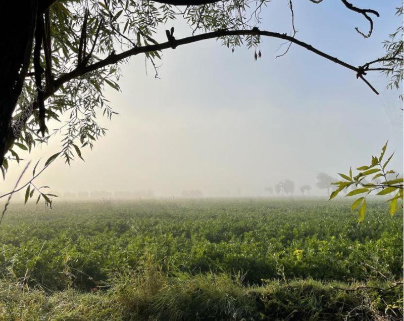 De Zeeuwsche Hoeve Kerkwerve Kültér fotó